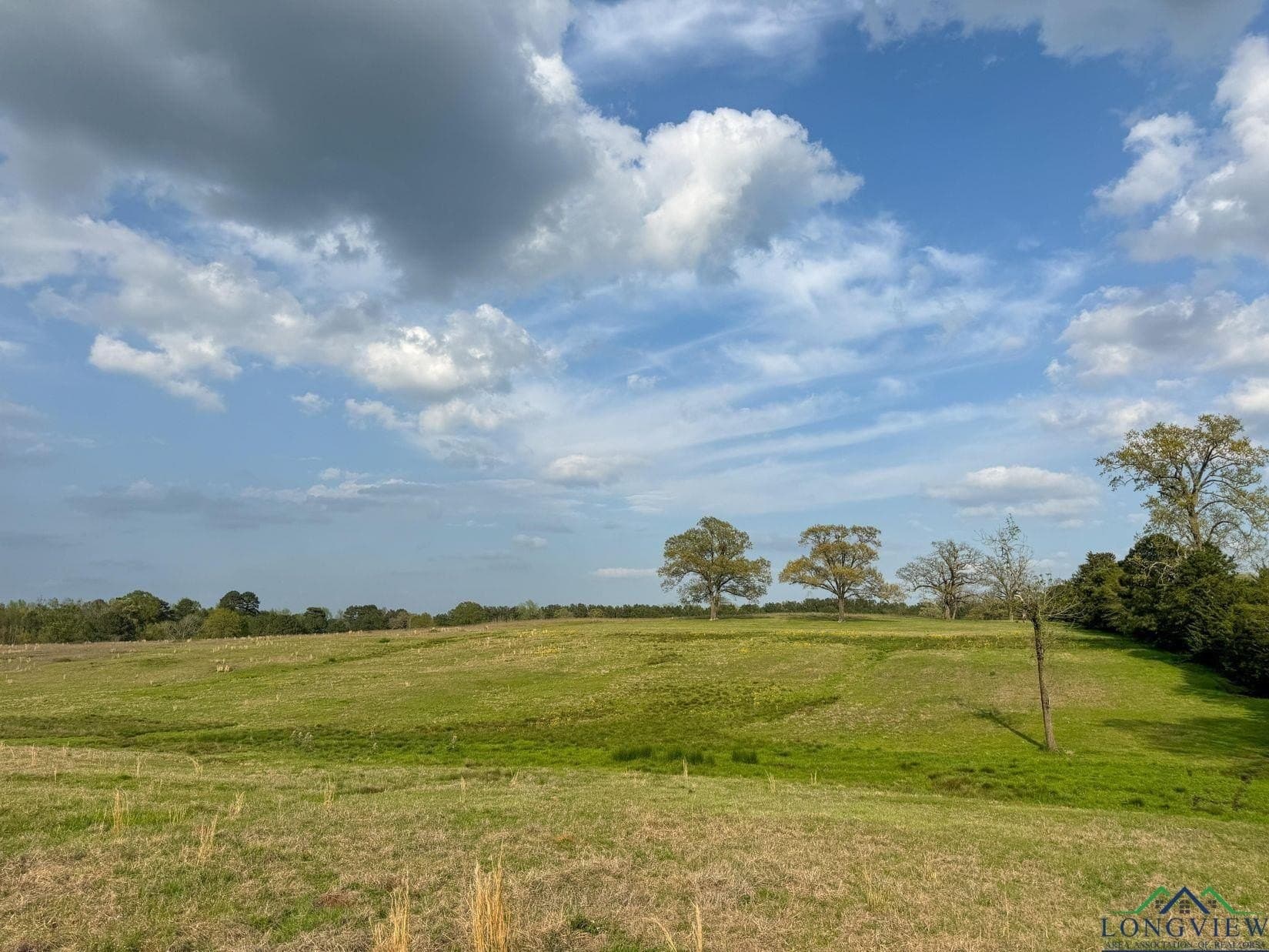 180.5 acres in Cass County - photo 32