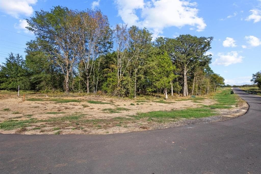 2.49 acres in Fannin County - photo 5
