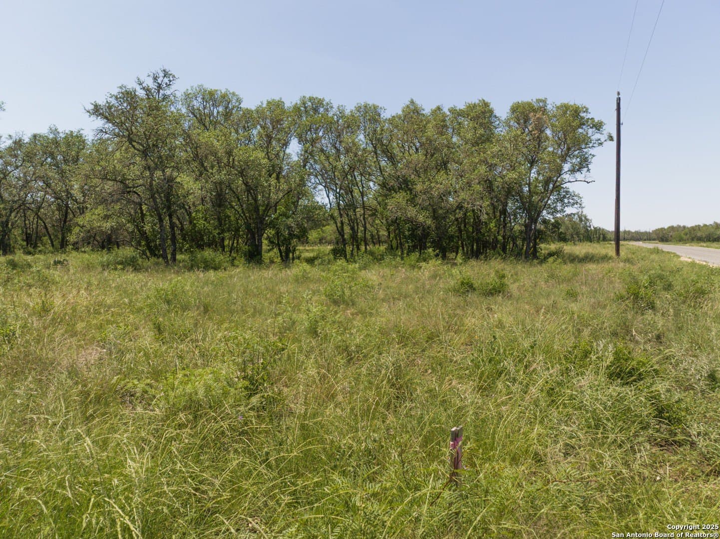 11.29 acres in Medina County - photo 11