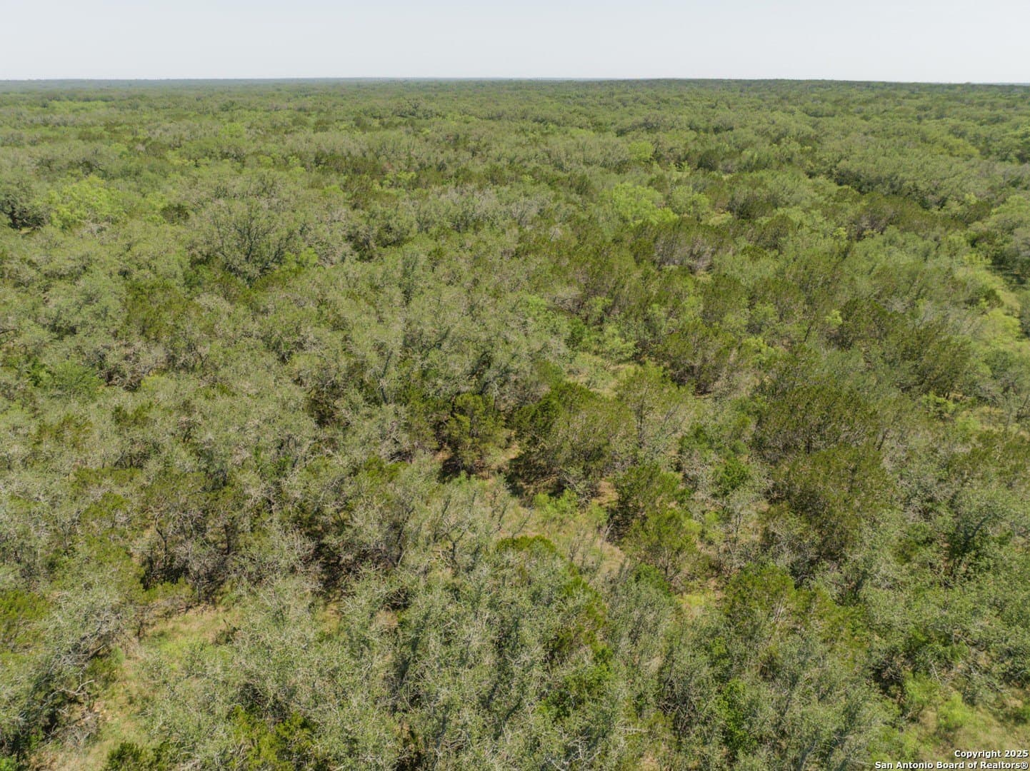11.29 acres in Medina County - photo 14