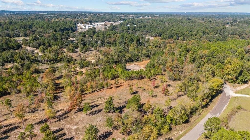 0.69 acres in Smith County - photo 13