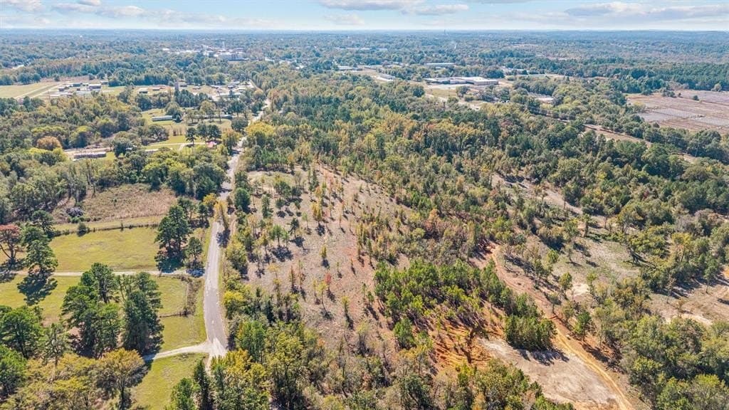 0.69 acres in Smith County - photo 14