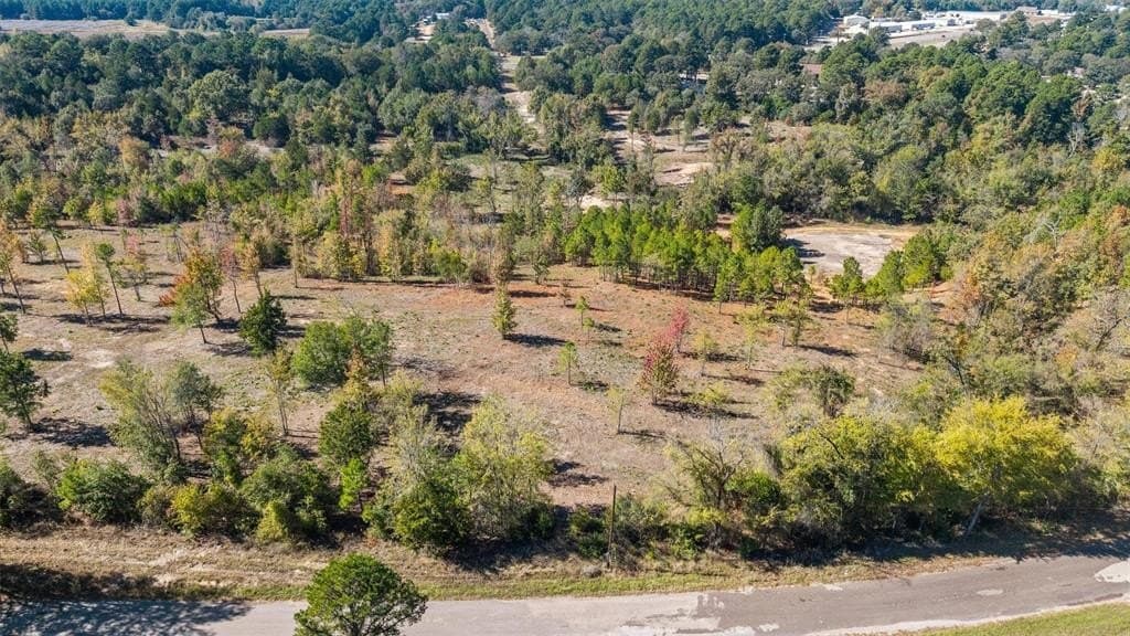 0.69 acres in Smith County - photo 12