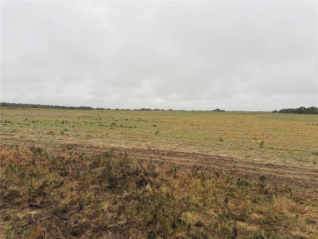 10 acres in Callahan County - photo 8