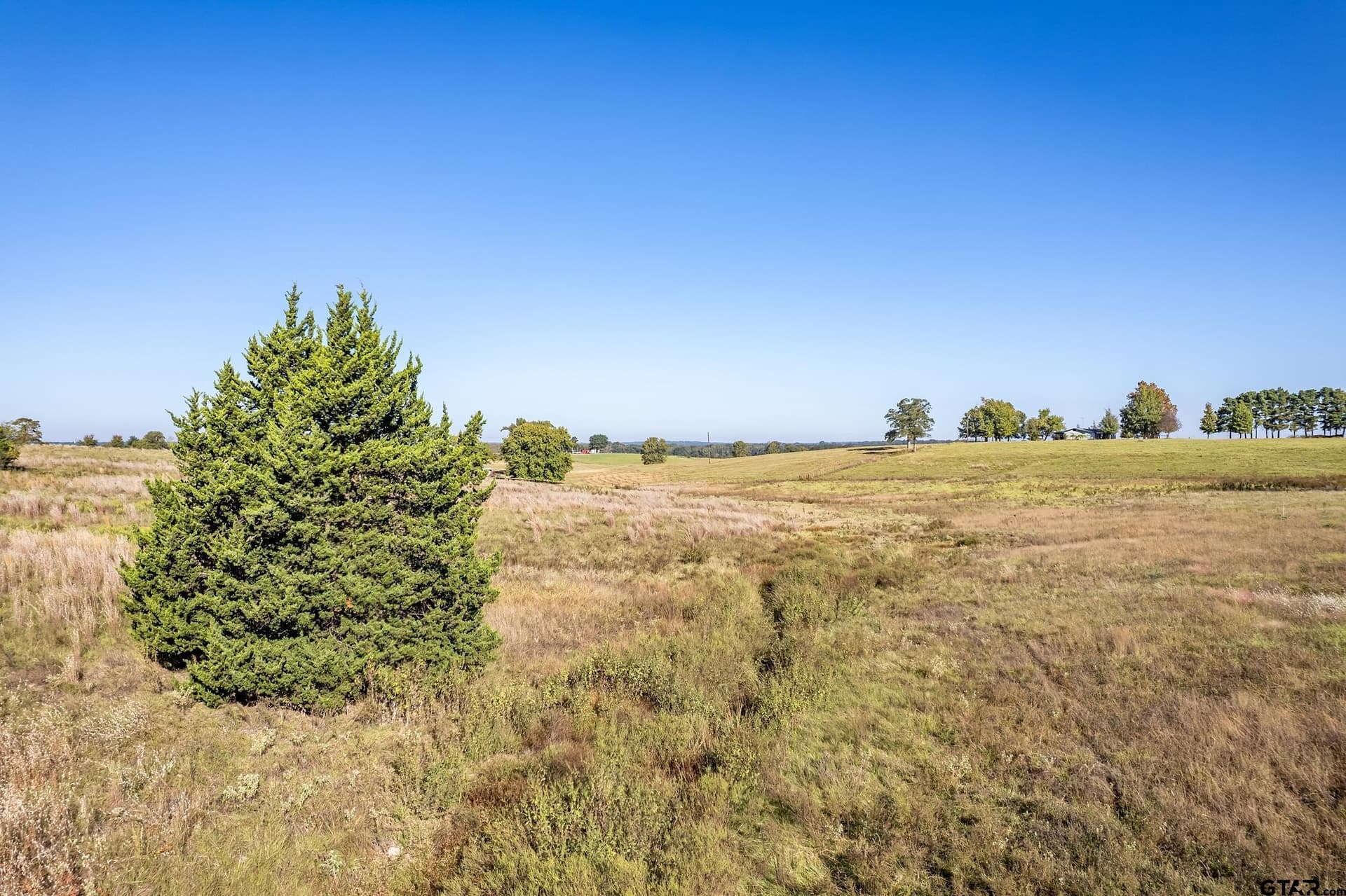 6.5 acres in Henderson County - photo 9