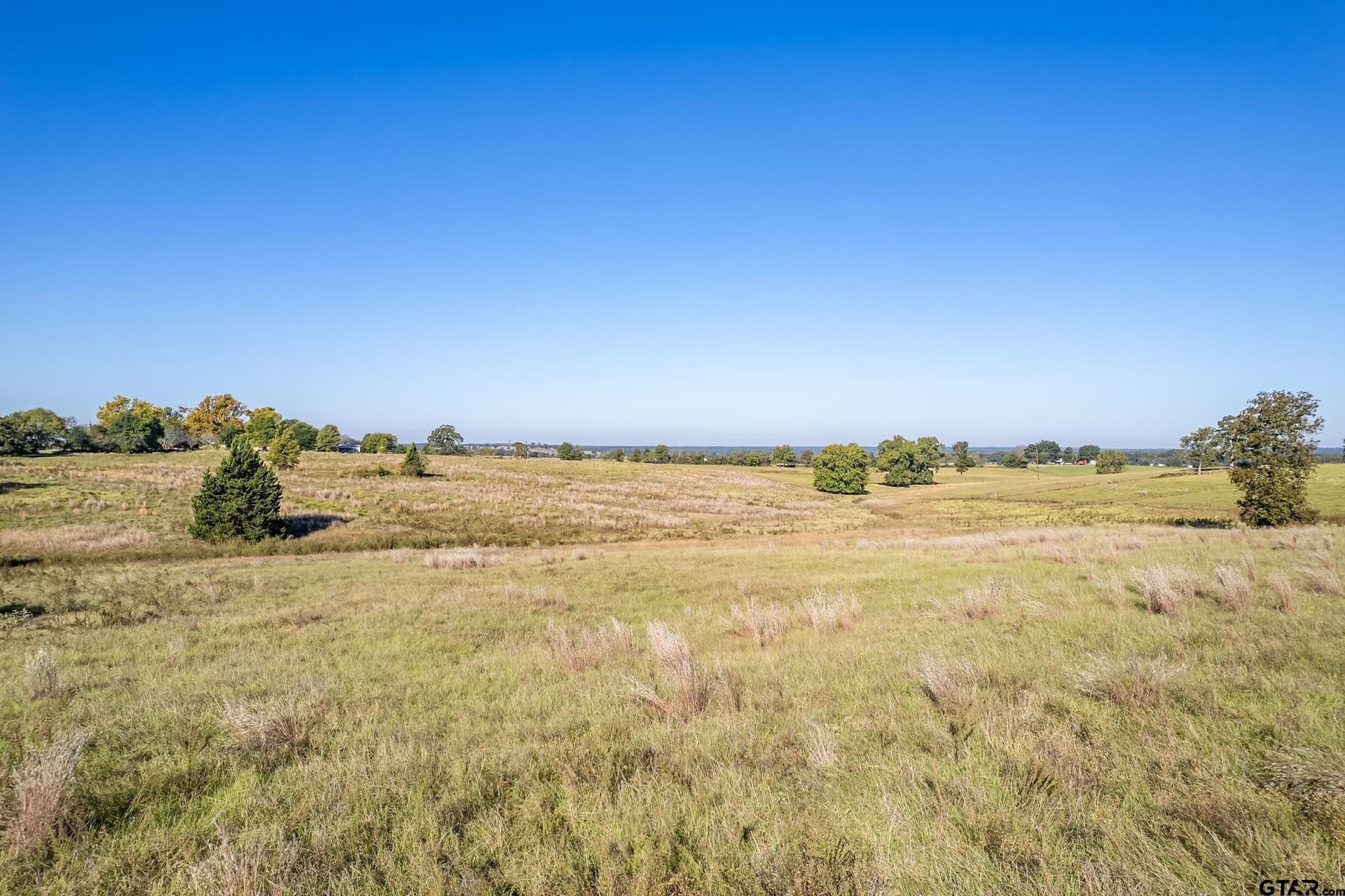 6.5 acres in Henderson County - photo 10