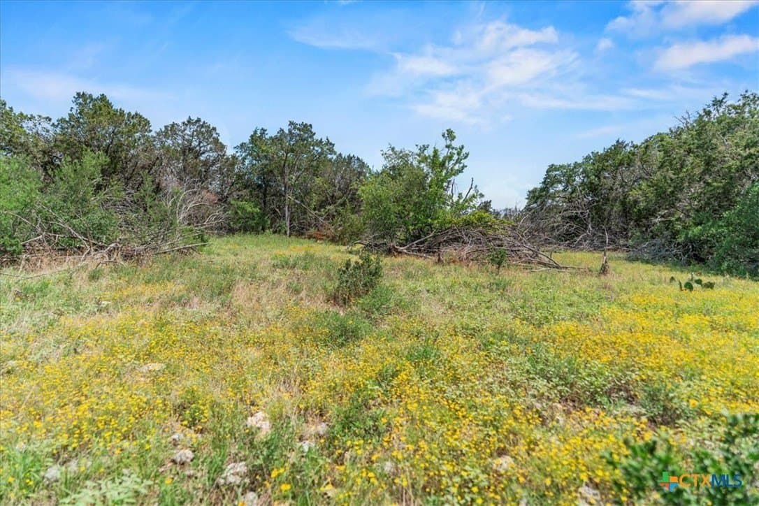 5.07 acres in Hays County - photo 4