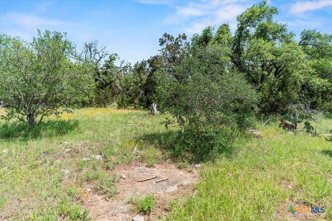 5.07 acres in Hays County - photo 6