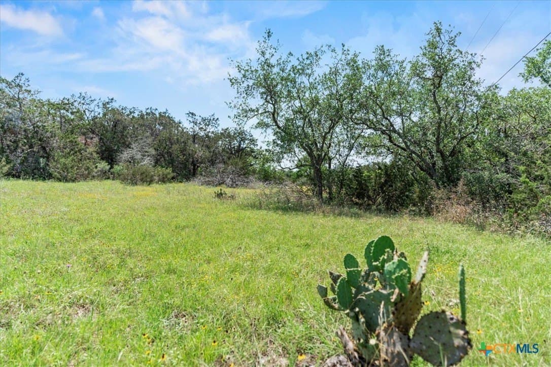 5.07 acres in Hays County - photo 8