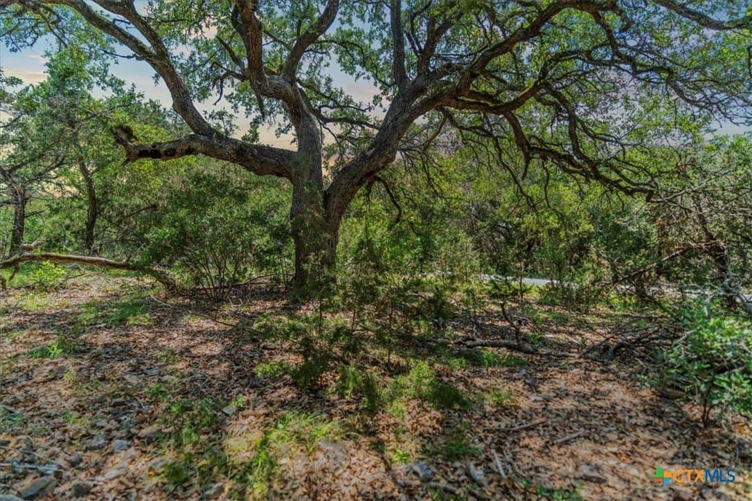 5.07 acres in Hays County - photo 2