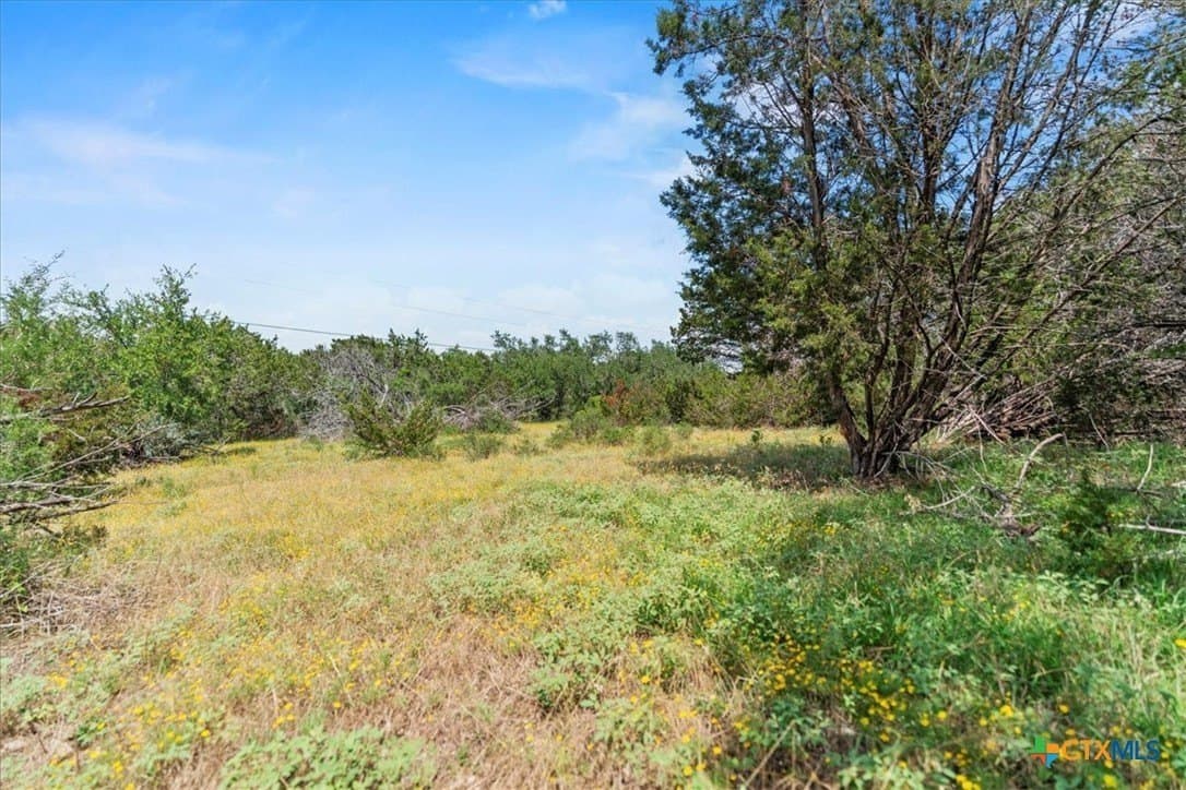 5.07 acres in Hays County - photo 5