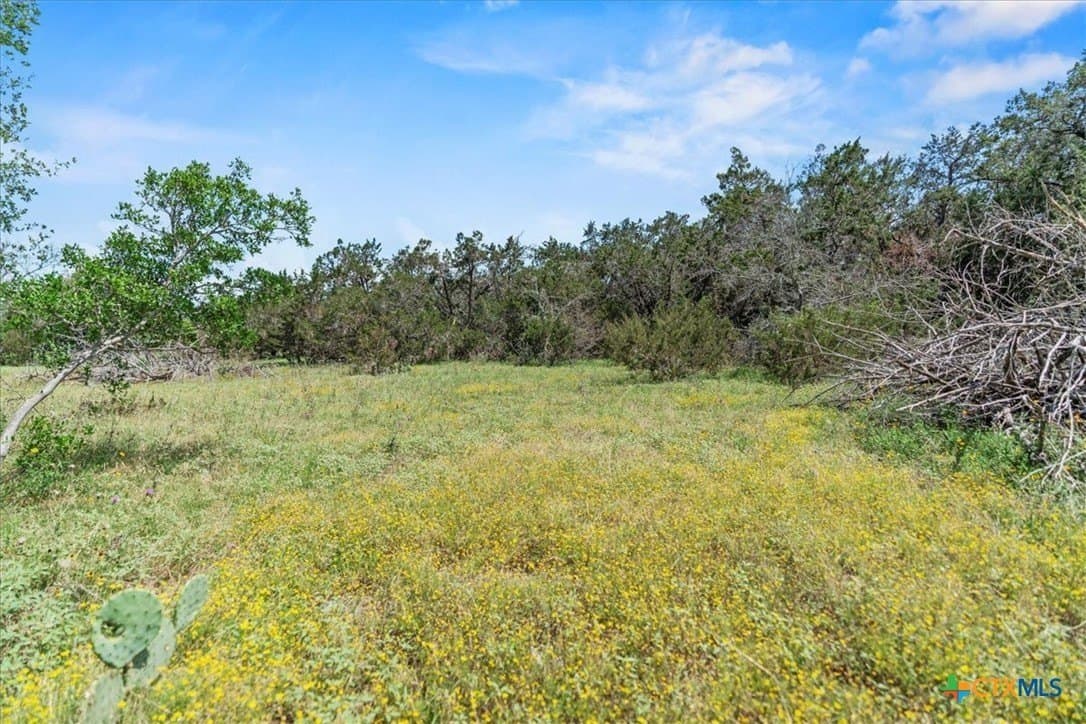5.07 acres in Hays County - photo 7