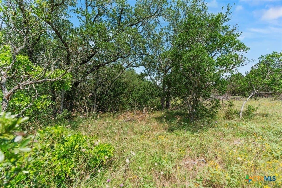 5.07 acres in Hays County - photo 9