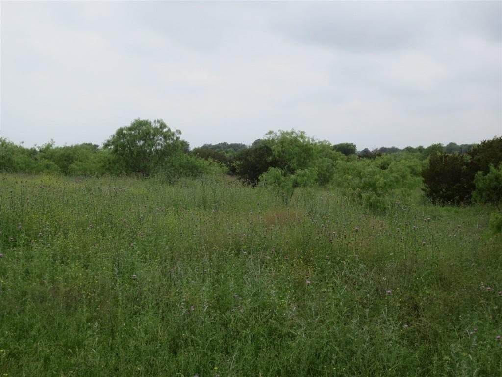 40.98 acres in McLennan County - photo 2