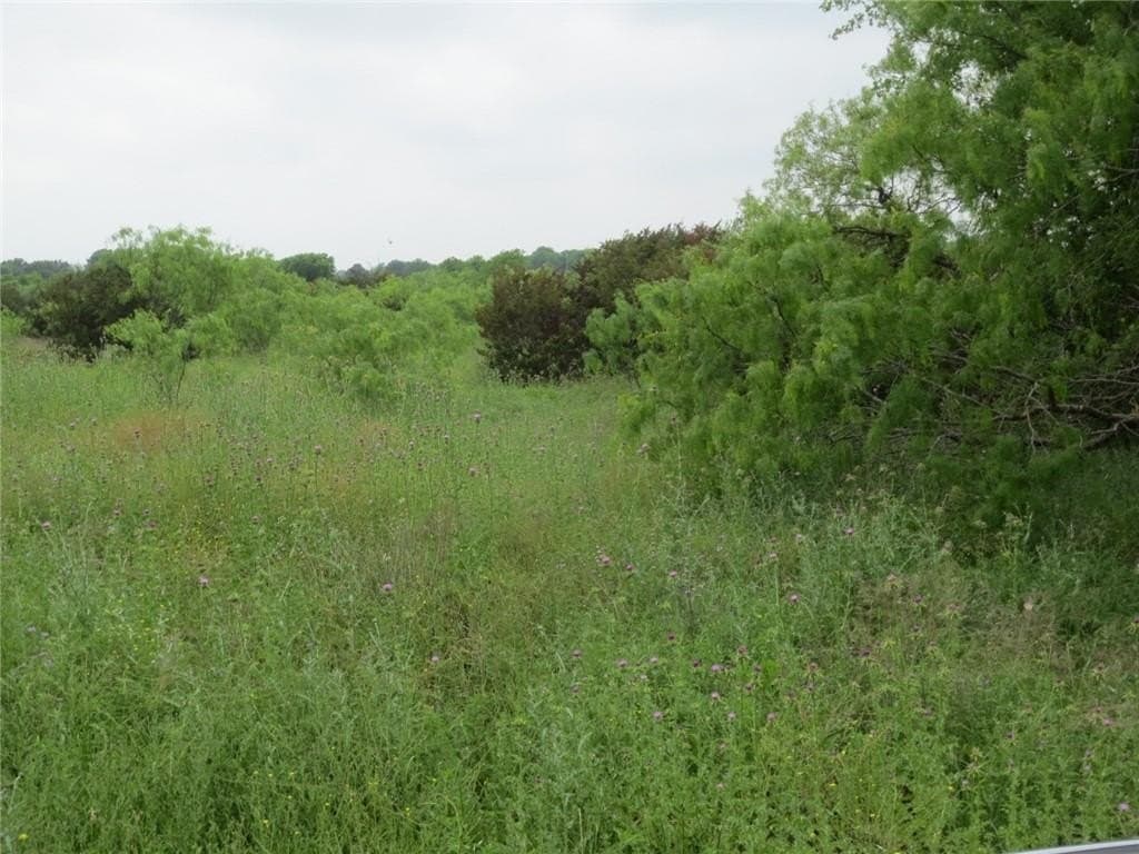 40.98 acres in McLennan County - photo 3