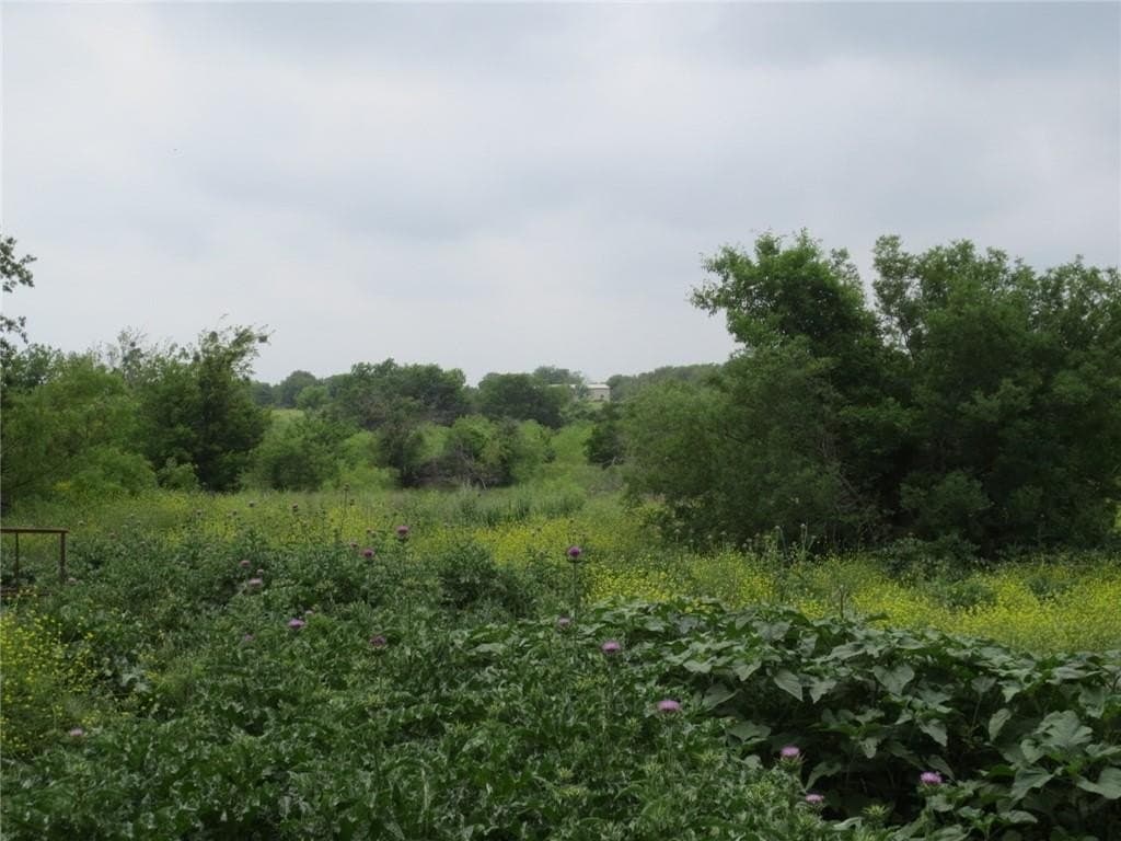 40.98 acres in McLennan County - photo 4