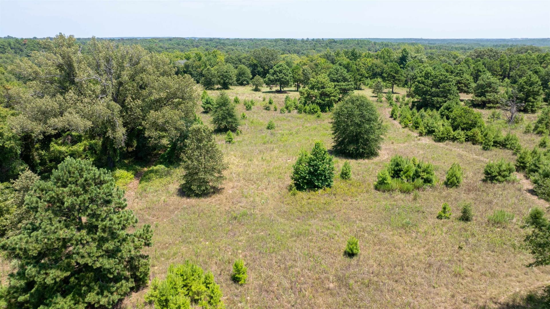 24.91 acres in Smith County - photo 9