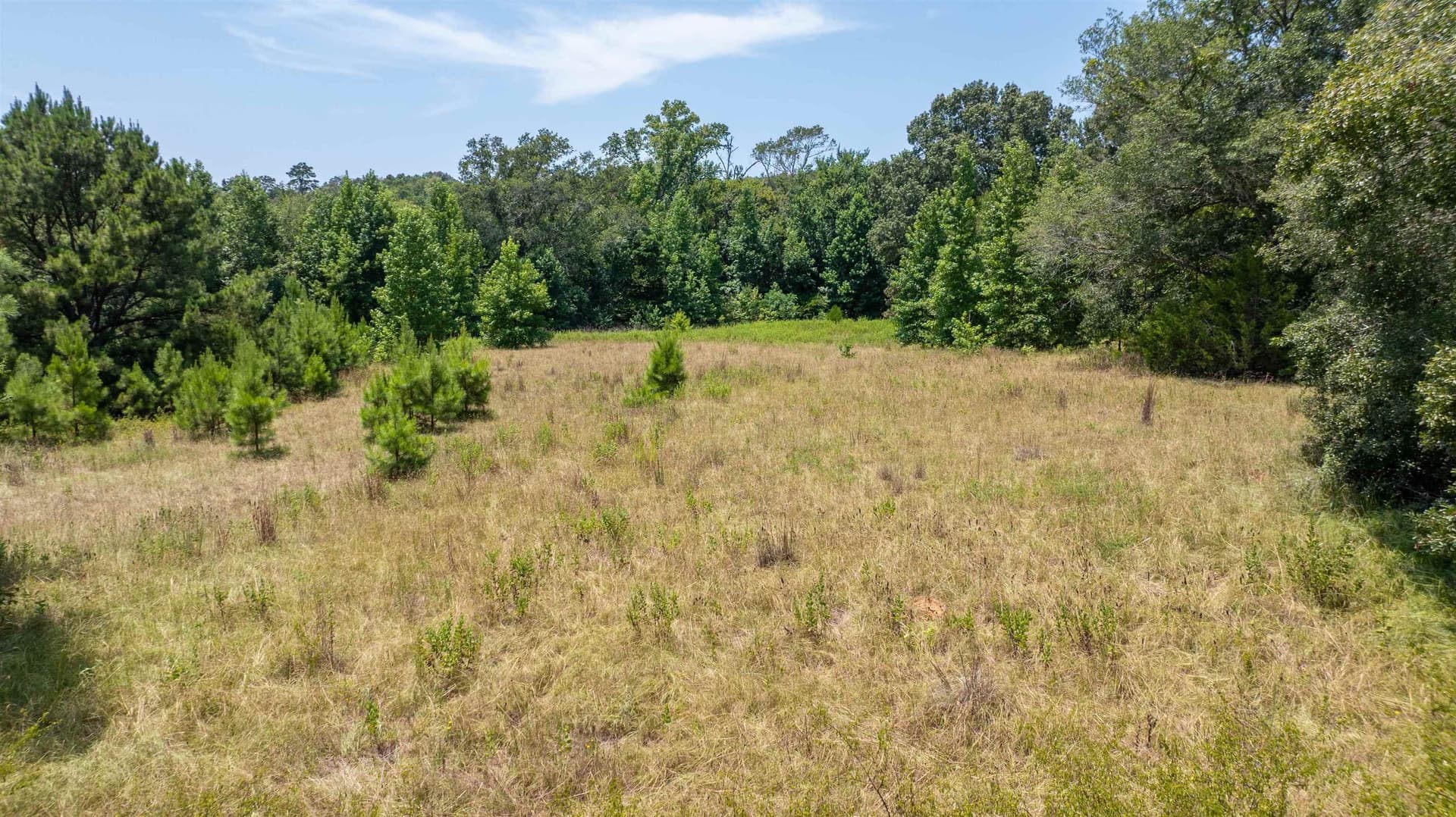 24.91 acres in Smith County - photo 19