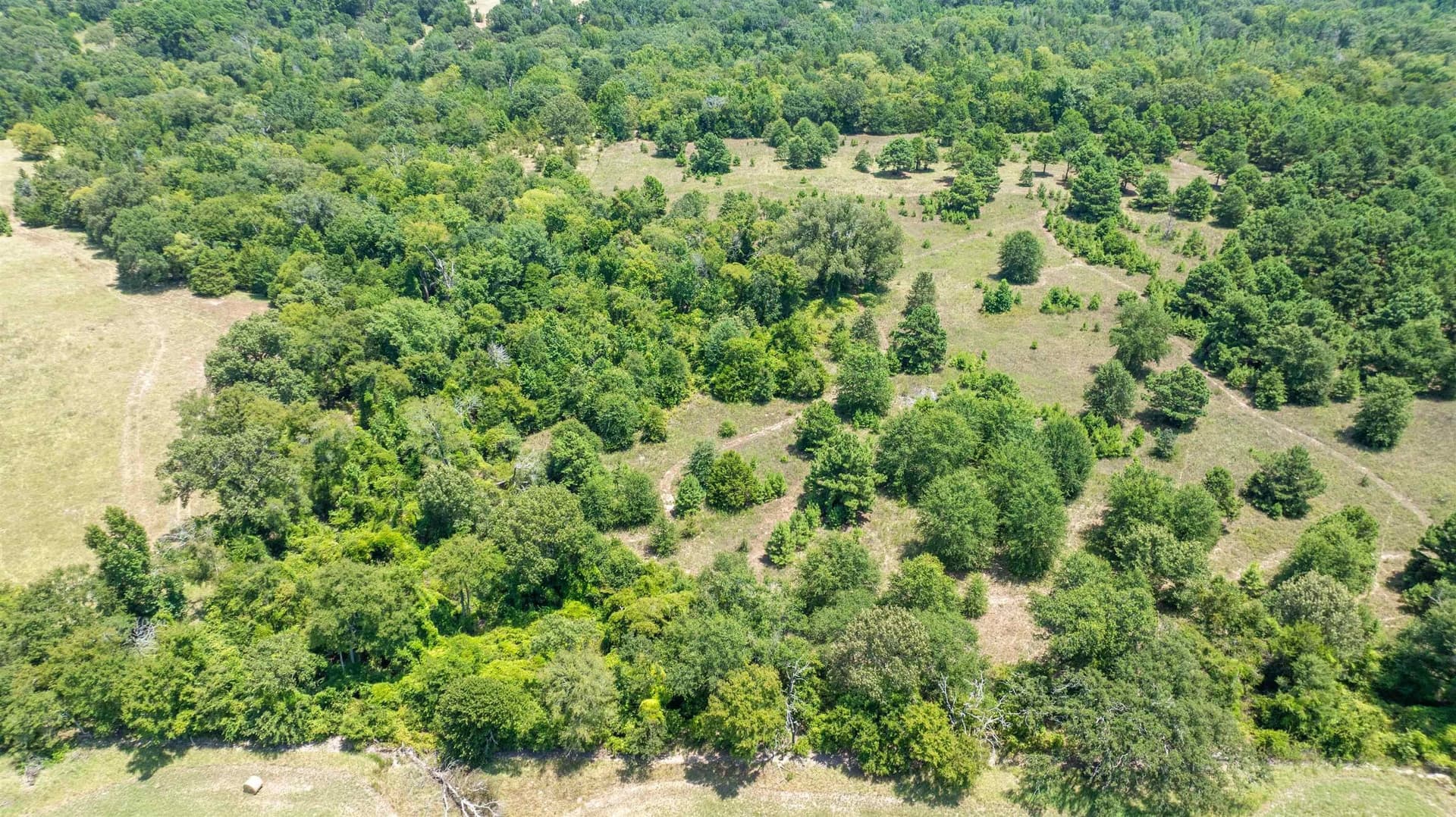 24.91 acres in Smith County - photo 15