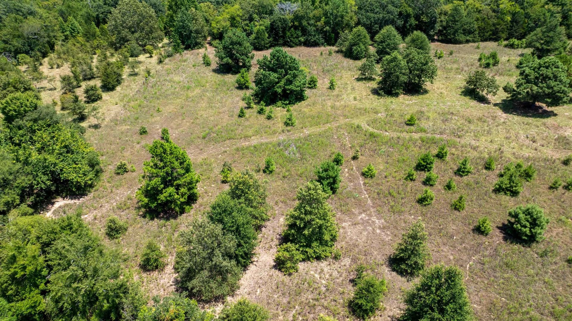24.91 acres in Smith County - photo 17