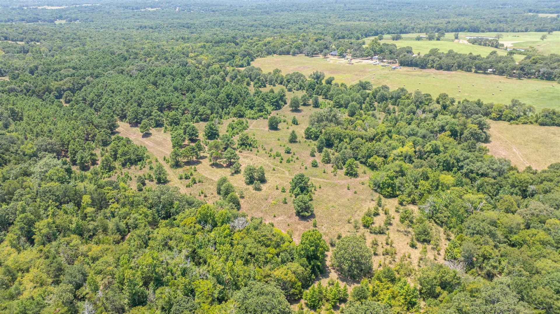 24.91 acres in Smith County - photo 7