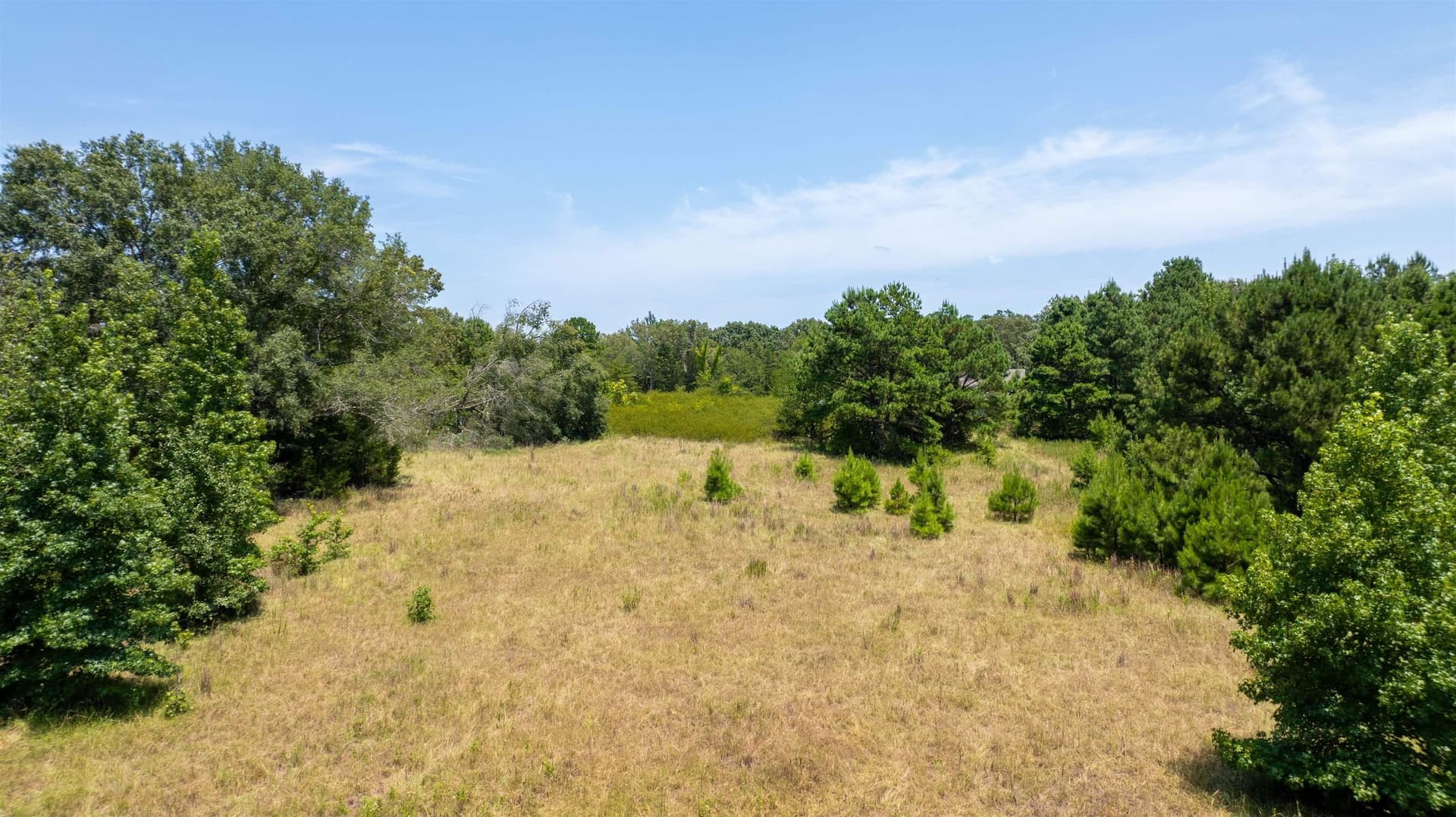 24.91 acres in Smith County - photo 26
