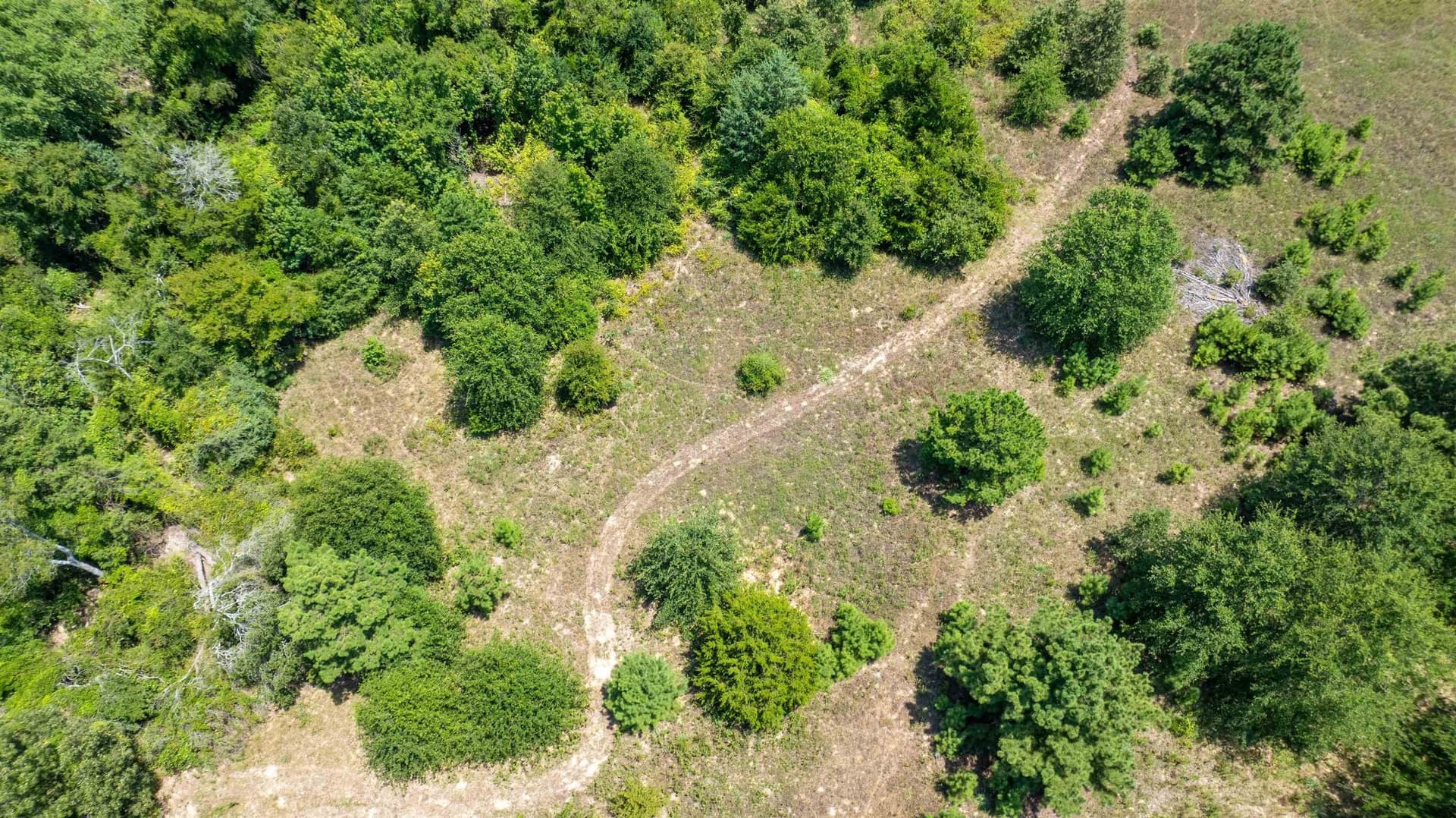 24.91 acres in Smith County - photo 16
