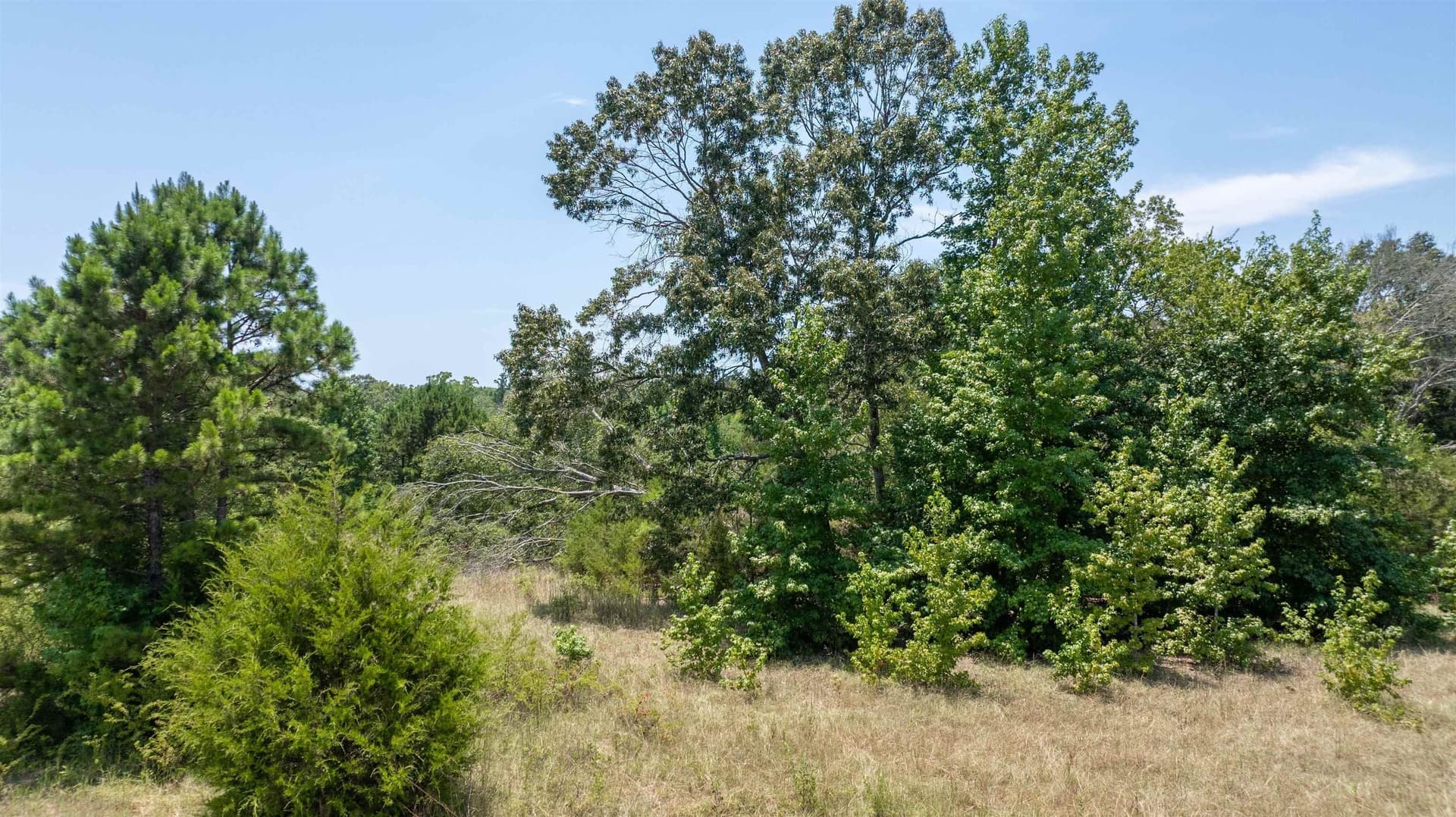 24.91 acres in Smith County - photo 23