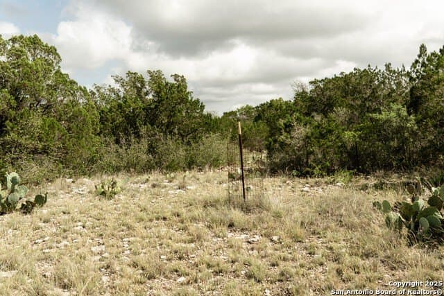 30.82 acres in Kinney County - photo 3