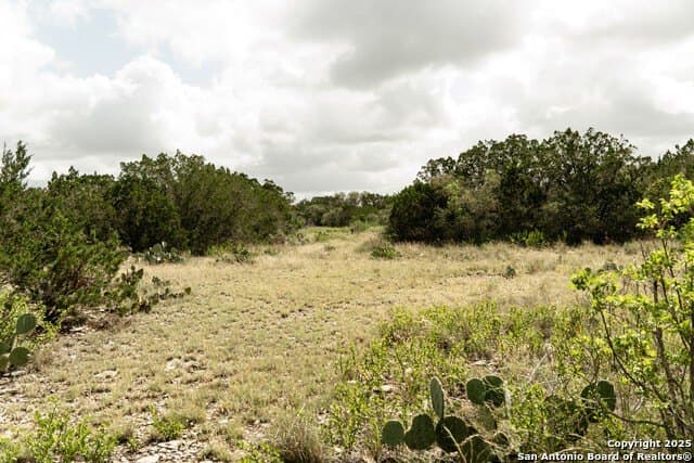 30.82 acres in Kinney County - photo 5