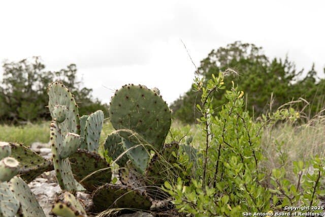 30.82 acres in Kinney County - photo 9
