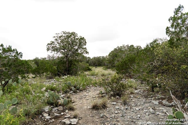 30.82 acres in Kinney County - photo 10