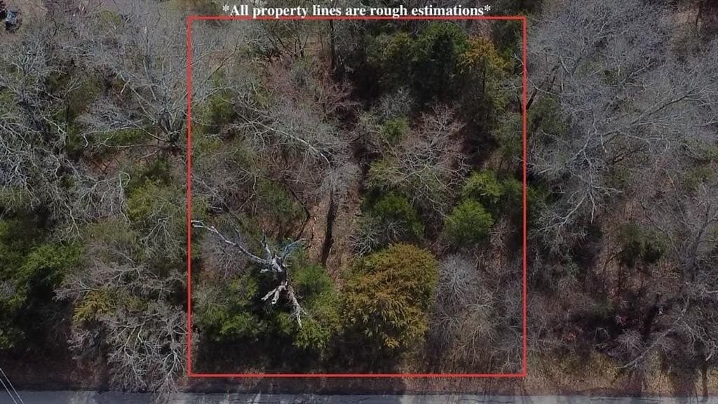 0.11 acres in Henderson County - photo 5