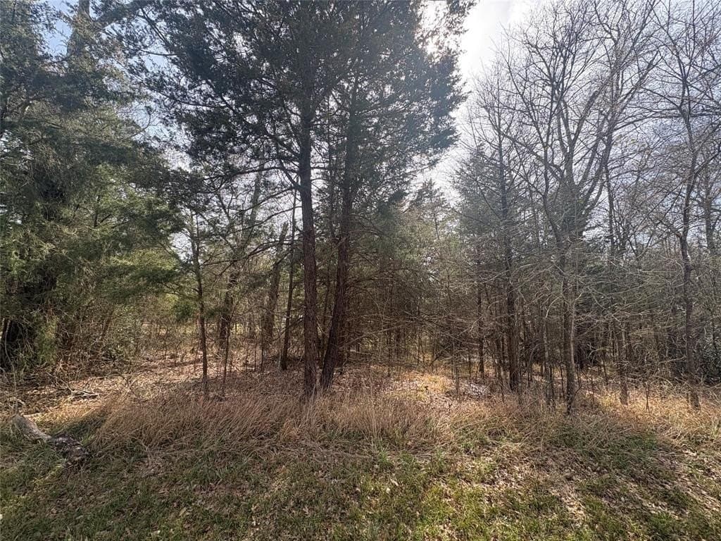 0.11 acres in Henderson County - photo 2