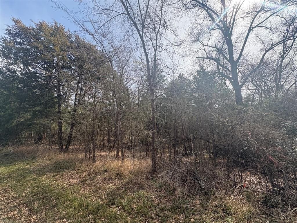 0.11 acres in Henderson County - photo 3