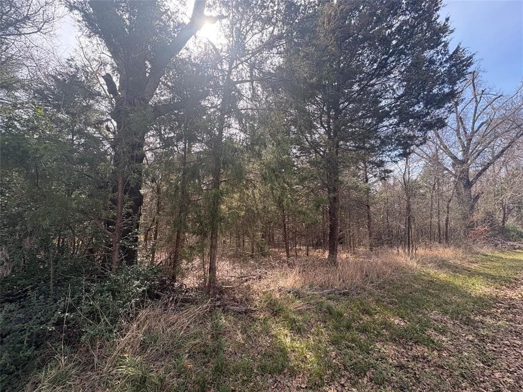 0.11 acres in Henderson County - photo 4