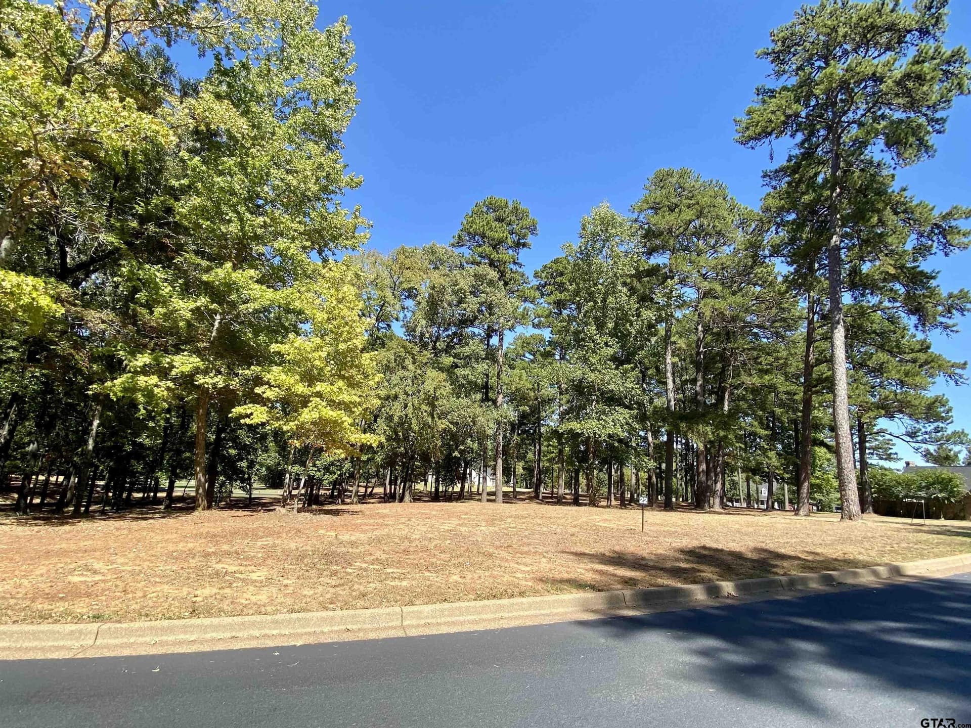 0.44 acres in Anderson County - photo 3