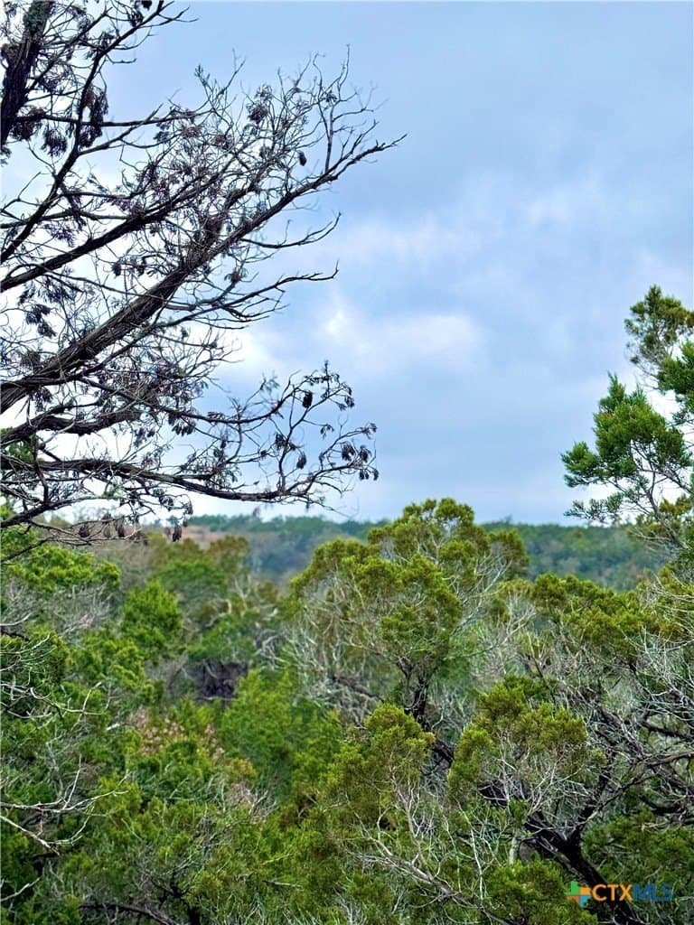 25.72 acres in Kerr County - photo 5