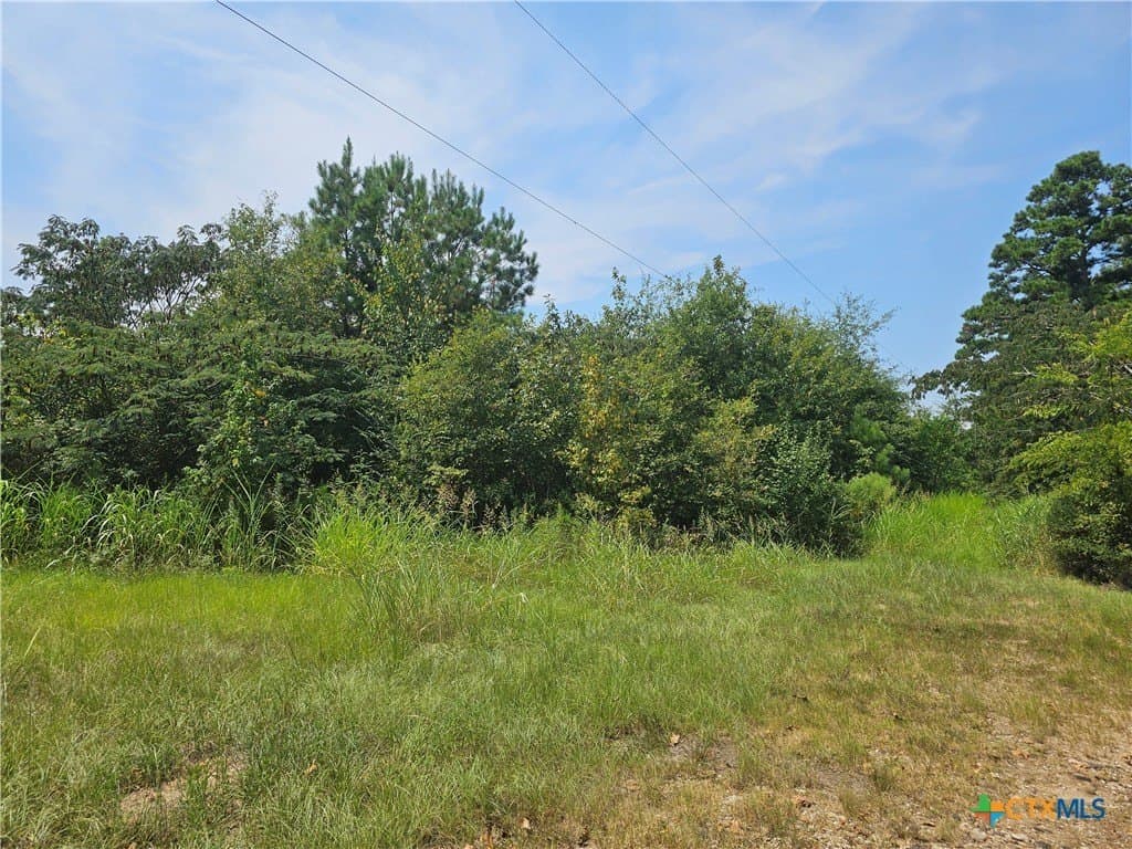 10 acres in Angelina County - photo 3