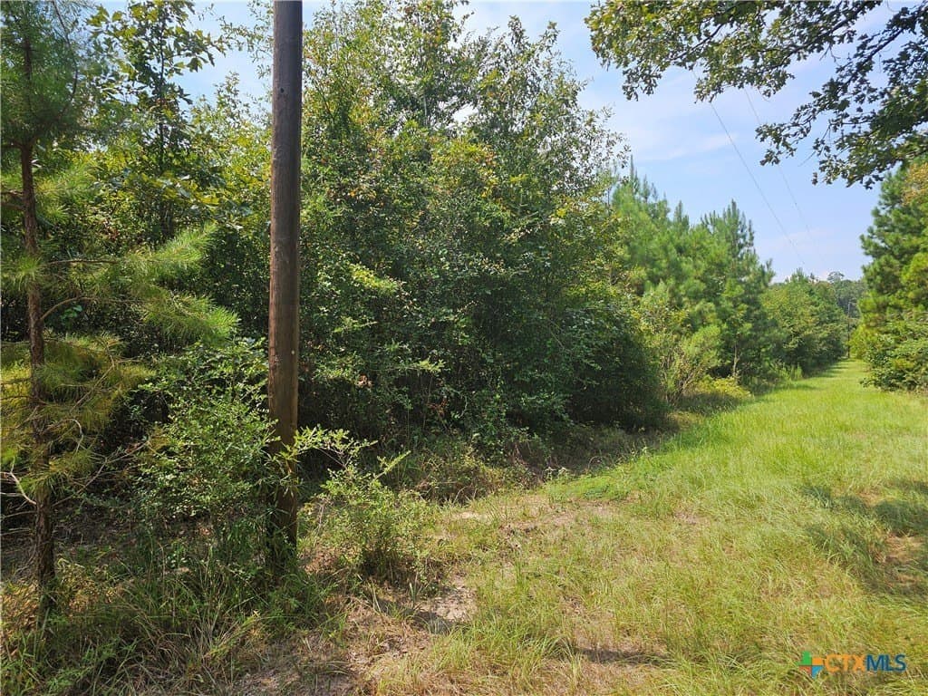 10 acres in Angelina County - photo 2