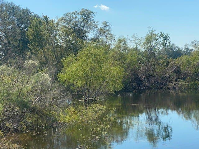 16 acres in Texas County - photo 10