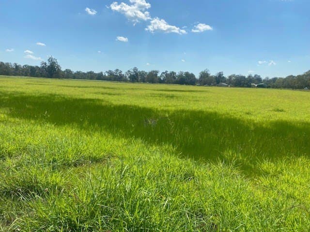 16 acres in Texas County - photo 5