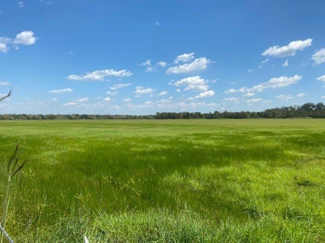 16 acres in Texas County - photo 2