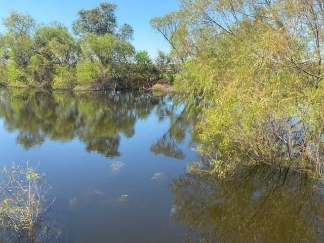 16 acres in Texas County - photo 7