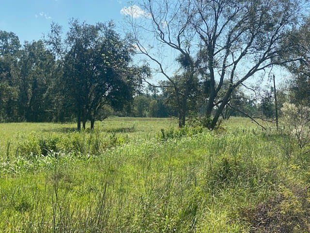 16 acres in Texas County - photo 9