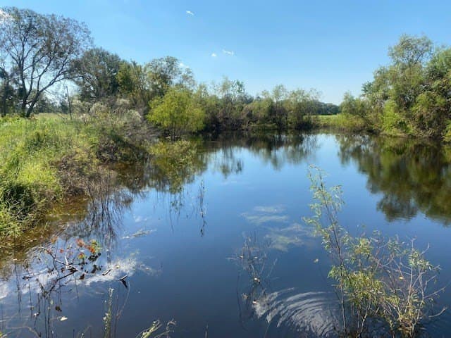 16 acres in Texas County - photo 8