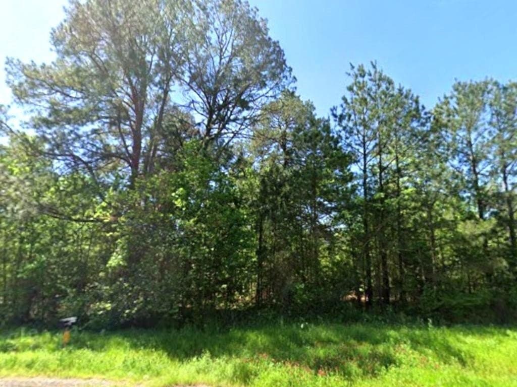 1 acres in Marion County - photo 3