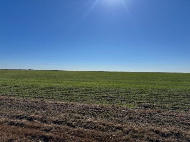 69.13 acres in Taylor County - photo 2