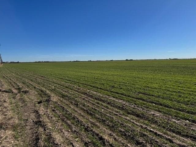 69.13 acres in Taylor County - photo 4