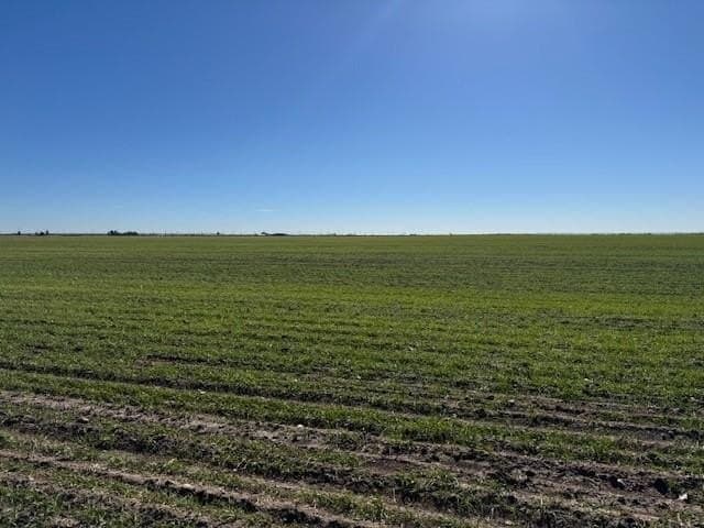 69.13 acres in Taylor County - photo 3